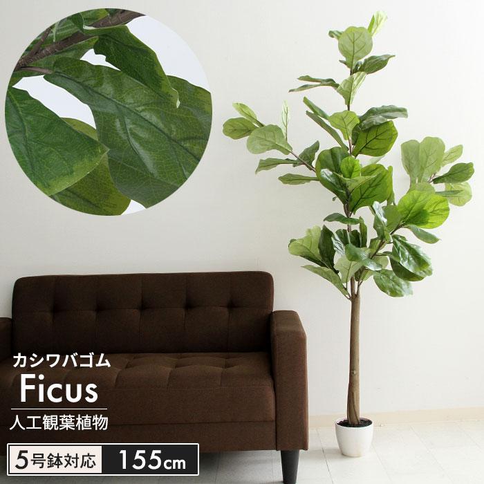 注目ブランド イミテーション フィカス 人工 植物 高さ 155cm 5号鉢対応 鉢植え フェイクグリーン 観葉植物 カシワゴム 造花 インテリア 室内 リビング 全ての Artech Mi It