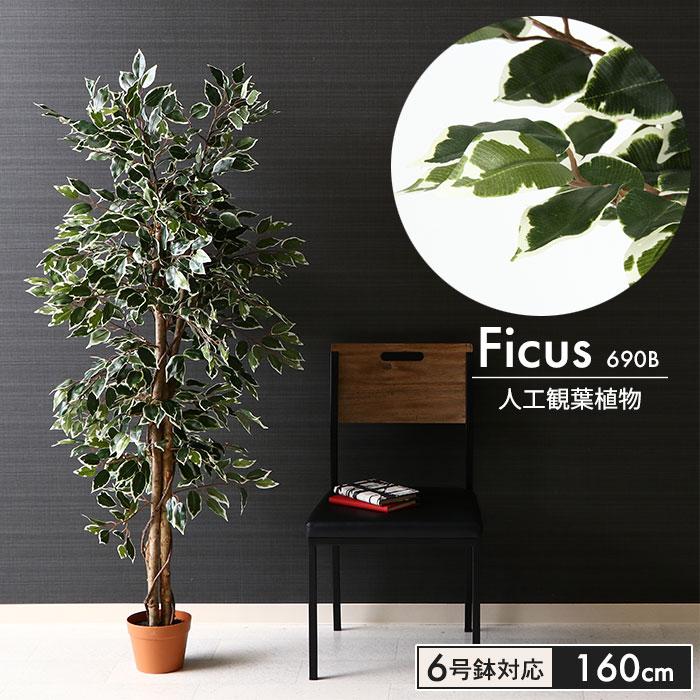 売れ筋 イミテーション フィカス 人工 植物 高さ 160cm 6号鉢対応 鉢植え フェイクグリーン 観葉植物 人工 造花 インテリア 室内 鉢 リビング 最終値下げ Sfracks Com