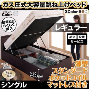 組立設置付 跳ね上げベッド 薄型スタンダードポケットコイルマットレス付き 縦開き シングル 深さレギュラー Free-Gate フリーゲート