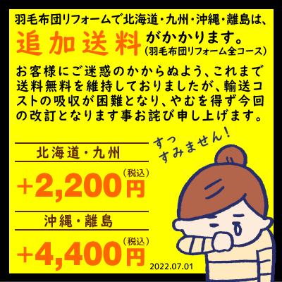【2，000円OFFクーポン】 羽毛布団 打ち直し リフォーム 足し羽毛 グース 500g クイーンからクイーン オールシーズンタイプ ベーシックコース_9