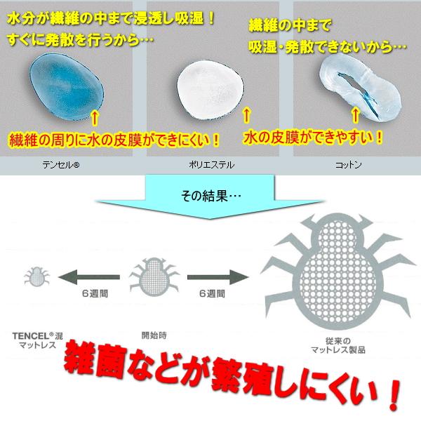 スザキーズ合い掛け布団 クイーンサイズ アレルギー対策 防ダニ ハウスダスト 洗える布団 春 秋 丸洗い Soft-as-Cloud 国産 日本製 化学物質不使用 送料無料_10