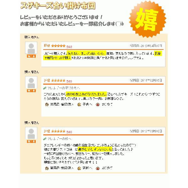 スザキーズ合い掛け布団 クイーンサイズ アレルギー対策 防ダニ ハウスダスト 洗える布団 春 秋 丸洗い Soft-as-Cloud 国産 日本製 化学物質不使用 送料無料_2