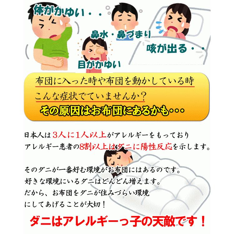 TEIJIN（テイジン） 防ダニ敷きパッド セミダブルサイズ 日本製 国産
