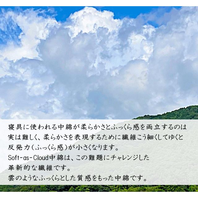 アレルギー対策お布団お勧めAセット セミダブルサイズ スザキーズ 布団セット 洗える布団 防ダニ ハウスダスト 洗濯機 まるで羽毛布団 送料無料の画像