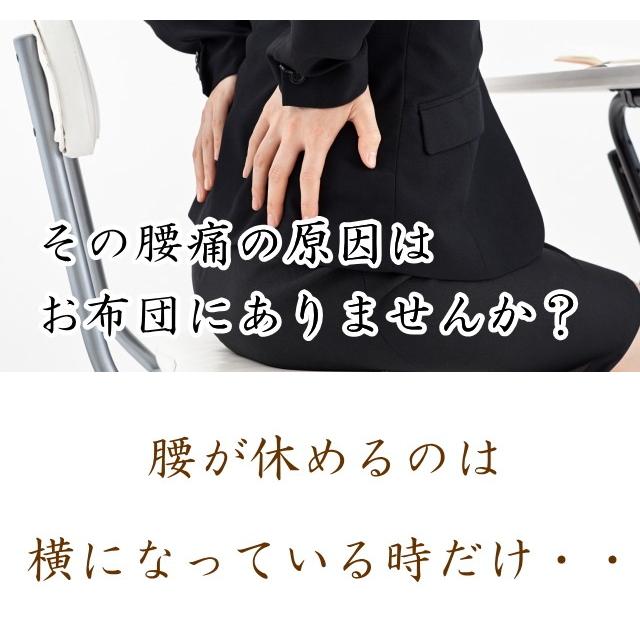 洗える腰痛対策敷き布団 シングルサイズ エアーサポート パラレーヴ 体