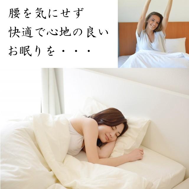 洗える腰痛対策敷き布団 シングルサイズ エアーサポート パラレーヴ 体