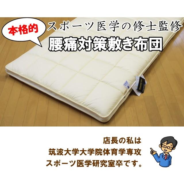 洗える腰痛対策敷き布団 シングルサイズ エアーサポート パラレーヴ 体