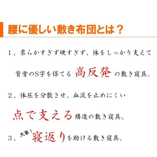 洗える腰痛対策敷き布団 セミダブルサイズ エアーサポート パラレーヴ 体圧分散 洗える敷き布団 高反発 マットレス 腰痛 アレルギー 日本製 国産 送料無料｜suzakifuton｜04