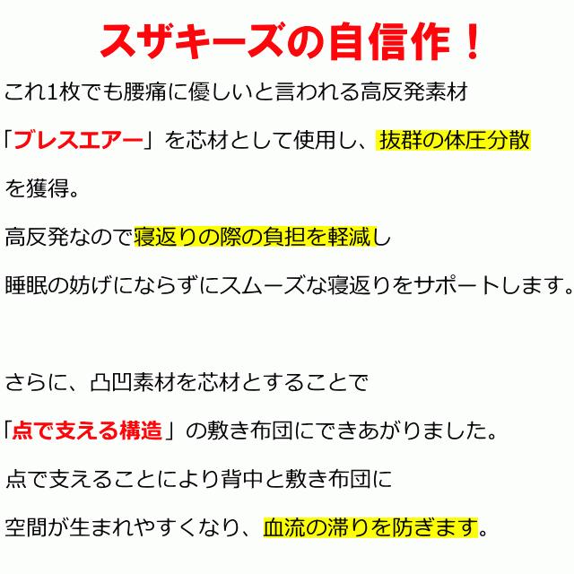 洗える腰痛対策敷き布団 セミダブルサイズ エアーサポート パラレーヴ 体圧分散 洗える敷き布団 高反発 マットレス 腰痛 アレルギー 日本製 国産 送料無料｜suzakifuton｜06