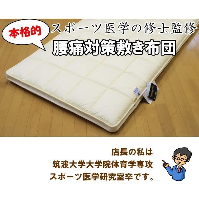 洗える腰痛対策敷き布団 ダブルサイズ エアーサポート パラレーヴ 体圧 