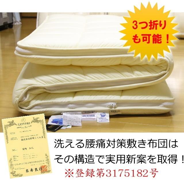 洗える腰痛対策敷き布団 ダブルサイズ エアーサポート パラレーヴ 体圧 