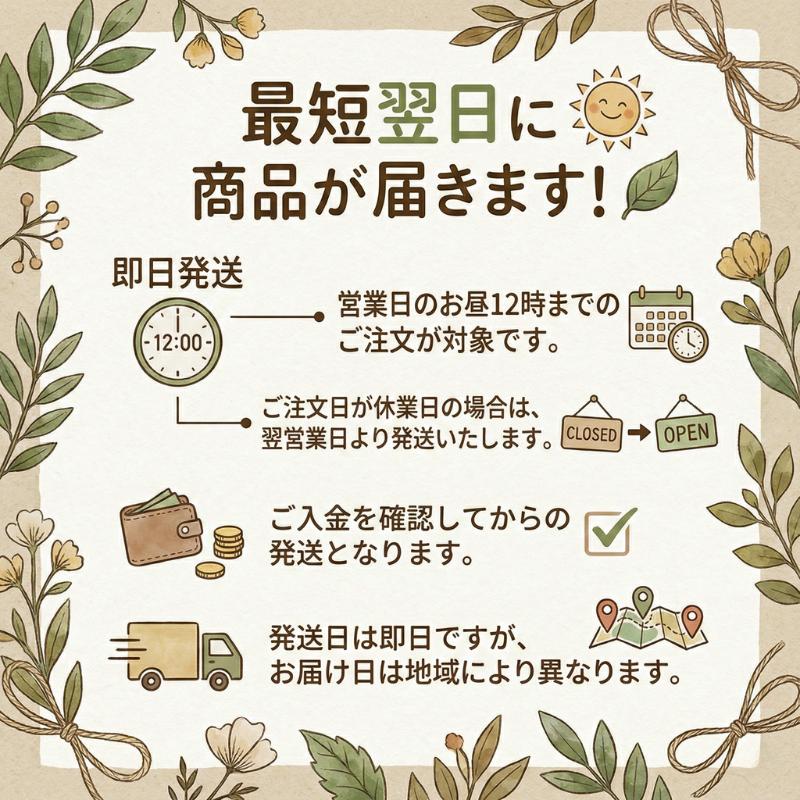 新品！家庭でできる自然療法 東城百合子 著 4冊セット 匿名配送 家庭でできる自然療法 東城百合子 著 あなたと健康社 健康本 レシピ