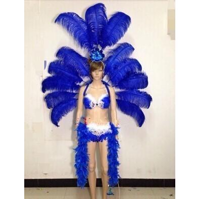 サンバ衣装セット ダンス カーニバル 羽