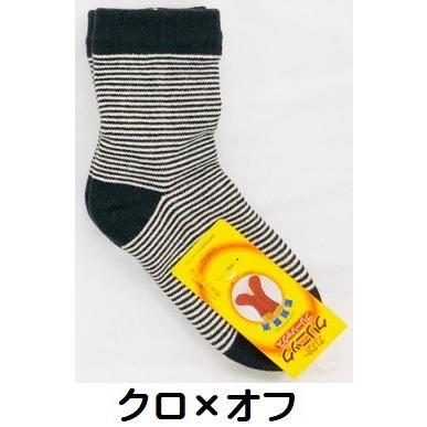 婦人カカトクリニックフリーソックス ポスト投函【送料無料】 カカト