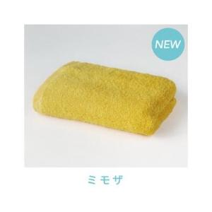 バスタオル卒業宣言 33×100cm超吸水タオル (コンパクト バスタオル