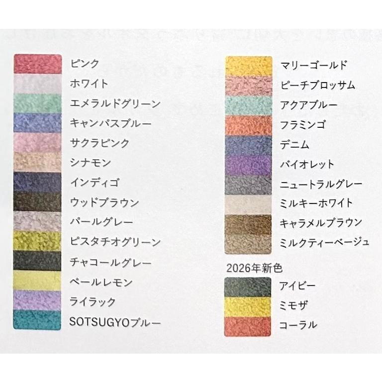 バスタオル卒業宣言 33×100cm超吸水タオル (コンパクト バスタオル