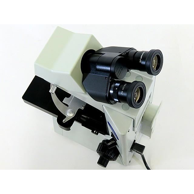 ○生物顕微鏡/CX31LBSF/総合倍率40倍〜400倍/プランアクロマート対物