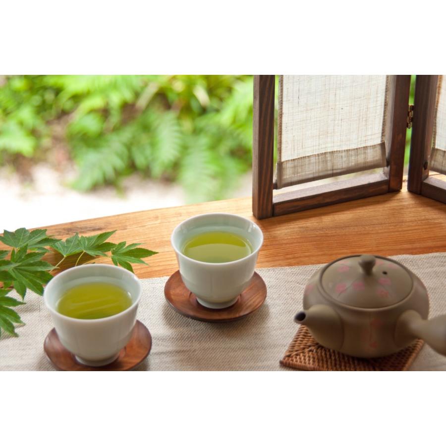 新茶 2026 狭山茶 新茶【初摘み新茶 茶缶 2缶 FA-111】お茶 茶葉 新茶