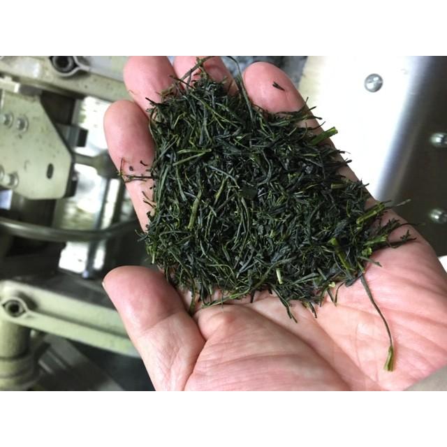 新茶 2026 狭山茶 新茶【初摘み新茶 茶缶 2缶 FA-111】お茶 茶葉 新茶