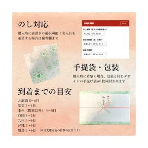 新茶 2026 狭山茶 新茶【初摘み新茶缶 2本 FA-50】お茶 茶葉  新茶予約 新茶 予約 通販 販売 令和8年 今年の新茶 人気 送料無料 ギフト |  | 03