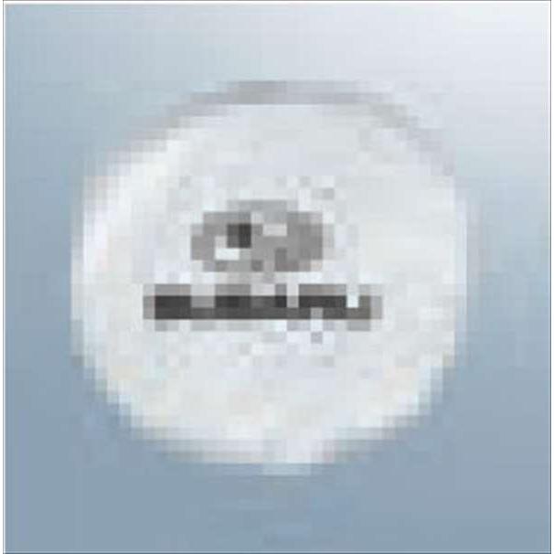 フォレスター SUBARUオリジナル サンシェード サイドカバー付