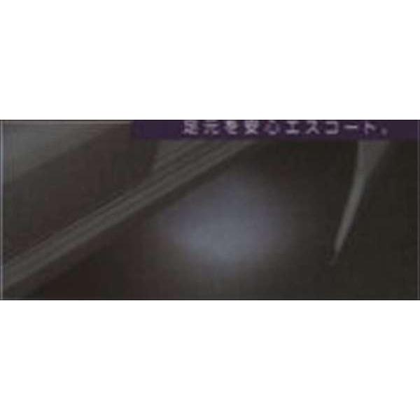 ワゴンr フットランプ サイドアンダースポイラー付車用 スズキ純正部品 パーツ オプション Suwa046 スズキモータース Dop Net 通販 Yahoo ショッピング