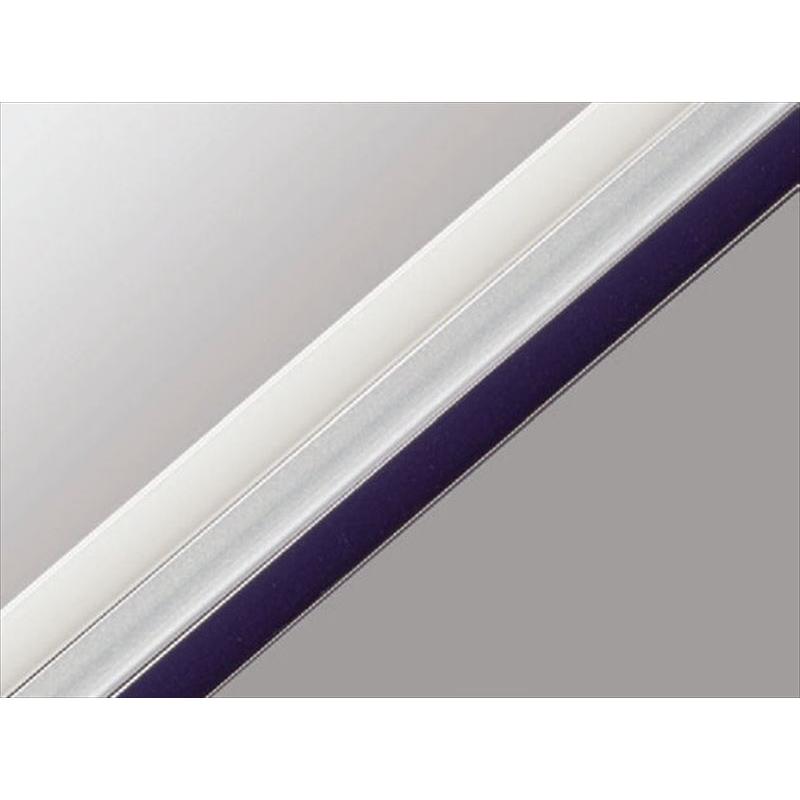 ランドクルーザー70 ドアエッジプロテクター（樹脂製） ※2本入
