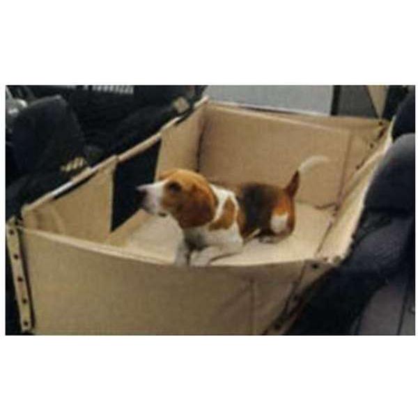 超人気の キューブ フレキシブルキャリー ワイドタイプ セパレーションネット無車用 日産純正部品 パーツ オプション Cube073 スズキモータース2 通販 Yahoo ショッピング 日本製 Www Intime Univ Org