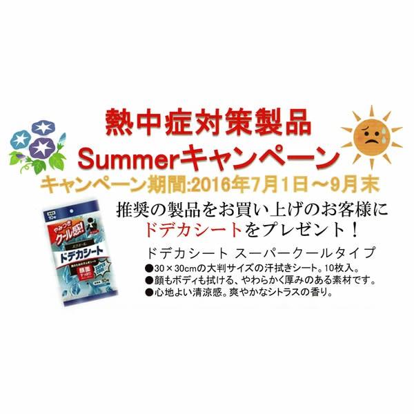 温湿度センサー付IPカメラ IPC-01TH＋ドデカシート3個｜suzumori｜02