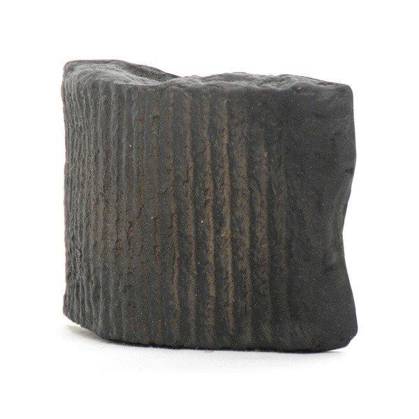 示準 化石 模型 5種 : 鈴盛オンラインショップ - 通販 - Yahoo