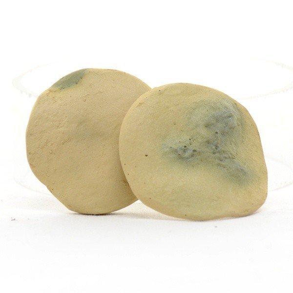 示準 化石 模型 5種 : 鈴盛オンラインショップ - 通販 - Yahoo