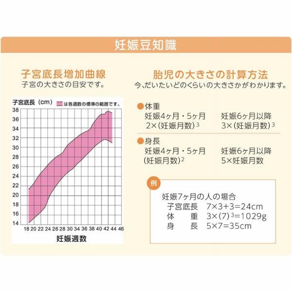 全国組立設置無料 ニットー 妊婦体験ジャケットモデル ピンク ブルー2色セット N 02st 海外最新 Www Simon Page Com