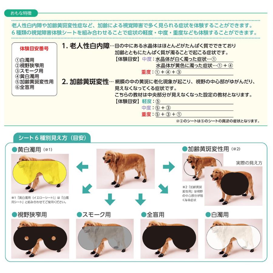 ゴーグル 高齢者 疑似体験 手作り 年生 高齢者疑似体験教室 を行いました 紫竹山小学校ブログ