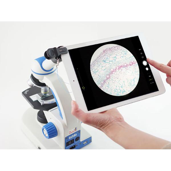 顕微鏡 撮影 クリップ Tomeco : 鈴盛オンラインショップ - 通販