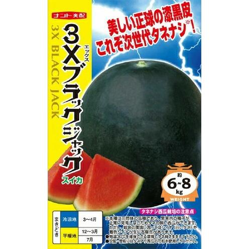 野菜種子 次世代種なしスイカ「3Xブラックジャック」 8粒（ナント種苗