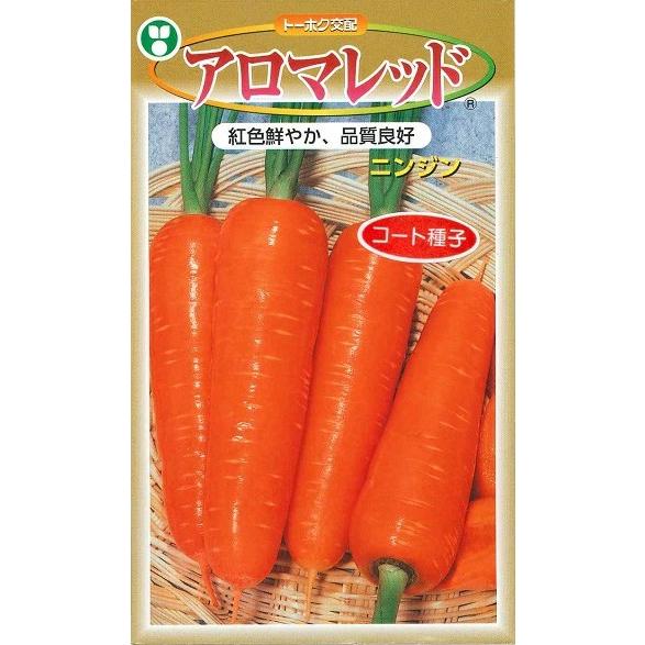 野菜種子 ニンジン「アロマレッド」 コート500粒（トーホク）【送料込み】 西洋系人参 にんじん 春まき 夏まき（Yahoo!・鈴乃園 Yahoo!ショッピング店）