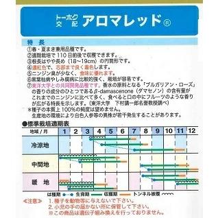 野菜種子 ニンジン「アロマレッド」 コート500粒（トーホク）【送料