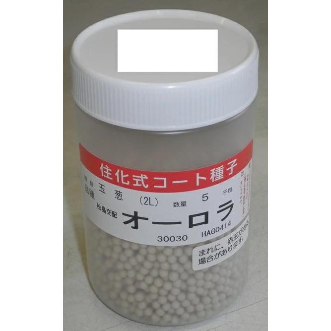 野菜種子 タマネギ「オーロラ」 コート5,000粒（渡辺採種場）【送料