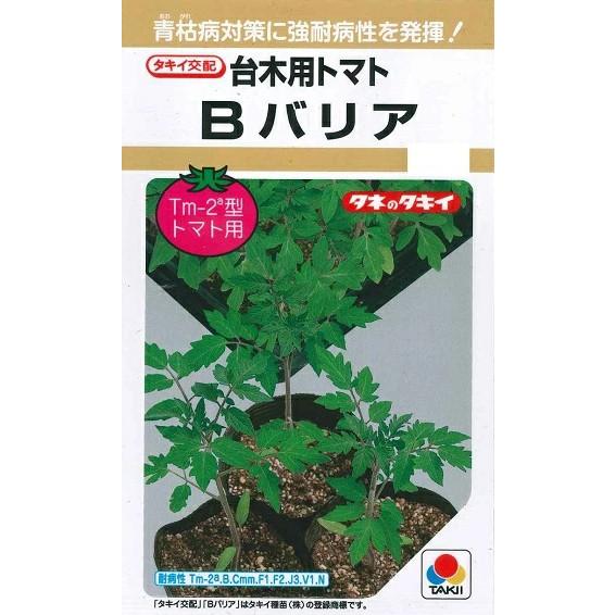 野菜種子 台木用トマト「Bバリア」 100粒（タキイ種苗）【送料込み