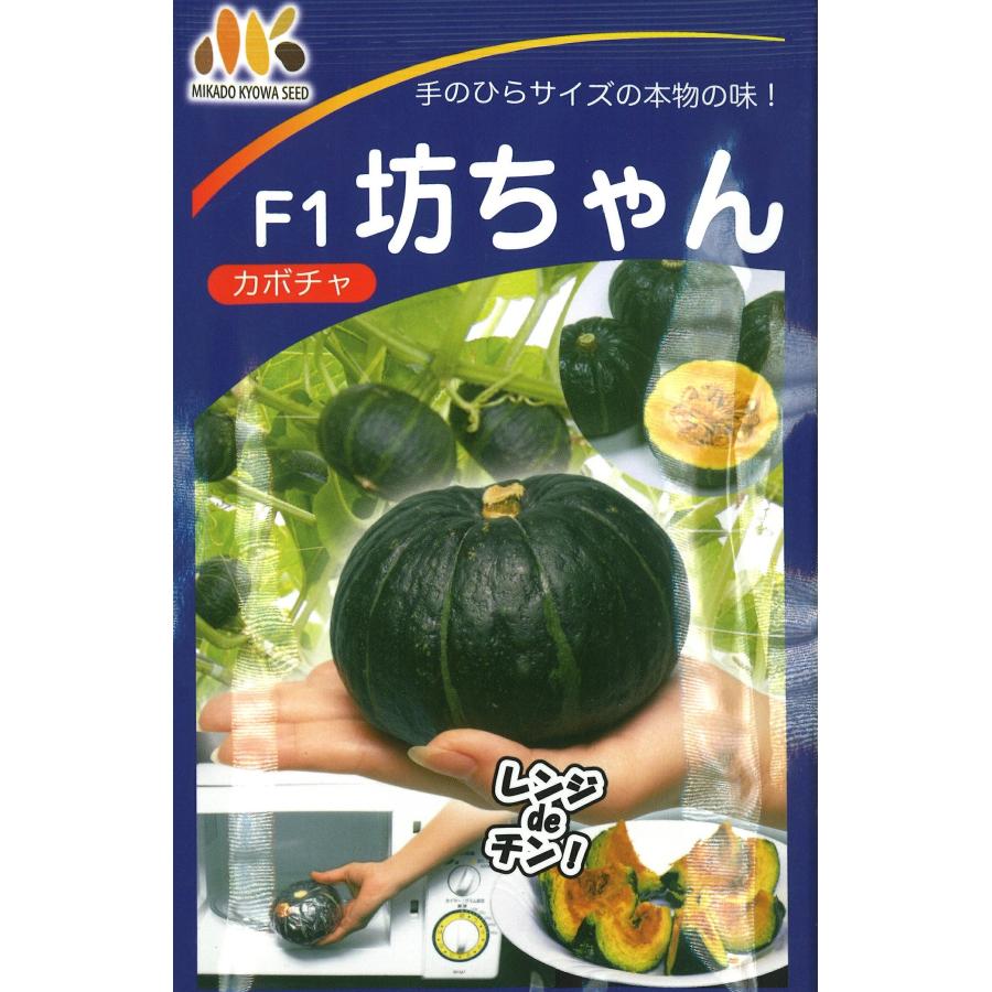野菜種子 ミニカボチャ「坊ちゃん」50粒（ヴィルモランみかど）【送料