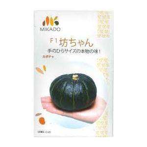 野菜種子 ミニカボチャ「坊ちゃん」100粒（ヴィルモランみかど）【送料