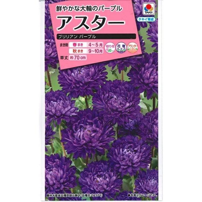 花種子 アスター「ブリリアン パープル」 0.15ml（約15本分）（タキイ