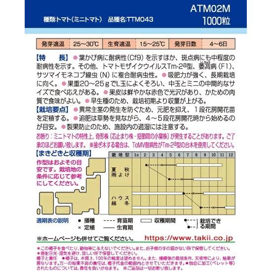 野菜種子 ミニトマト「CFココ」 1，000粒（タキイ種苗）【送料込み】 シーエフココ 耐病性 複合耐病虫性 多収 長期栽培 早生 農林水産省登録品種(品種名：TTM043)_1