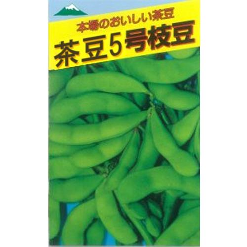 野菜種子 エダマメ「茶豆5号枝豆（旧 庄内5号）」 50ml（佐藤政行種苗