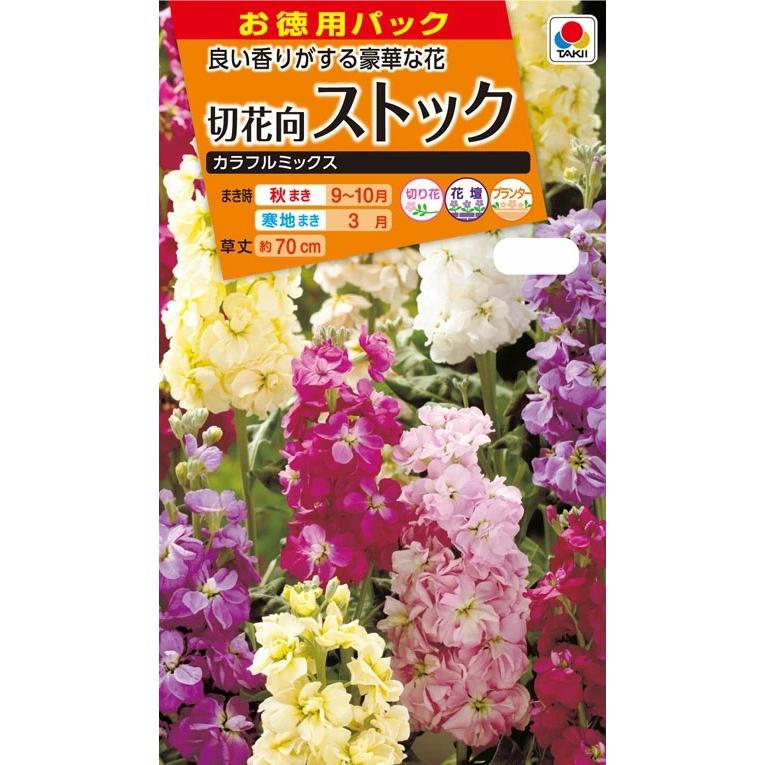 お徳用】花種子 切花向ストック「カラフルミックス」 2ml（タキイ種苗