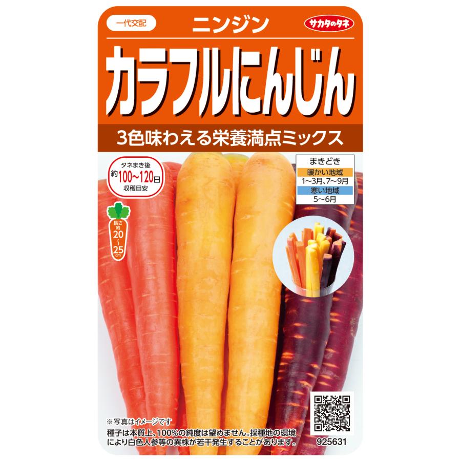野菜種子 ニンジン「カラフルにんじん」 3.5ml（サカタのタネ）【送料