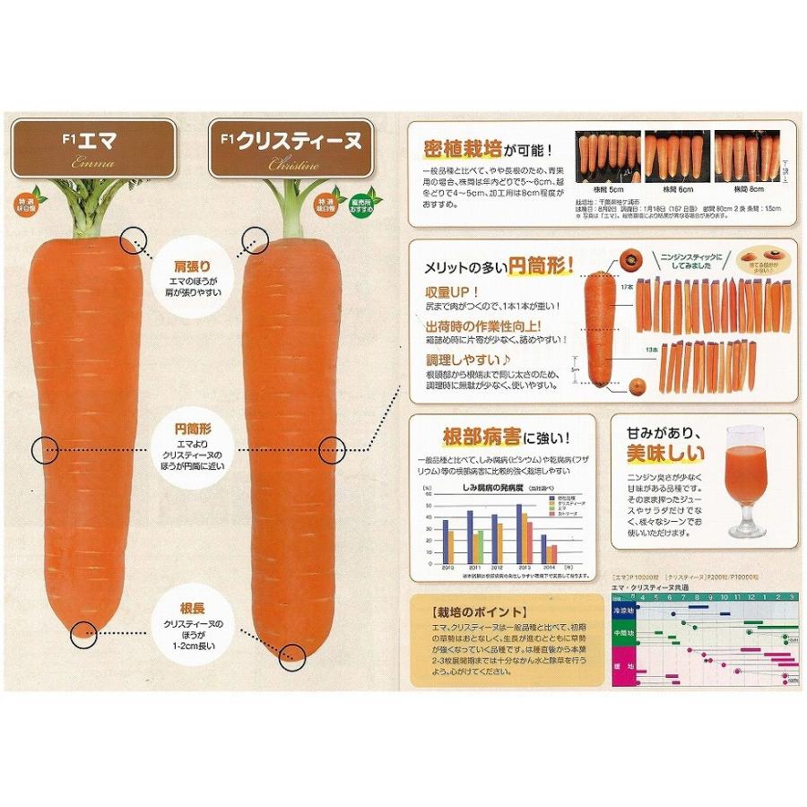 未開封 F1クリスティーヌ ニンジン ペレット種子 1万粒 2袋　コート種子 野菜種子 ニンジン「クリスティーヌ」 ペレット200粒（ヴィルモラン
