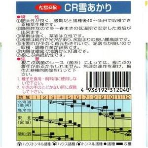 野菜種子 カブ「CR雪あかり」 2dl（渡辺採種場）【送料込み】CRゆきあかり シーアールユキアカリ 蕪 かぶ 晩抽・根こぶ病抵抗性 低温肥大性 極早生の画像