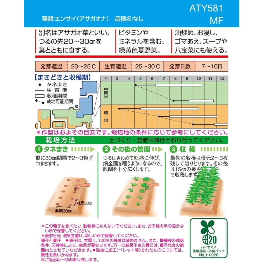 野菜種子 中国野菜「エンサイ」 1L（タキイ種苗）【送料込み】 エンツァイ 空心菜 クウシンサイ くうしんさい アサガオ菜 ヨウサイ 耐暑性 緑黄色野菜の画像