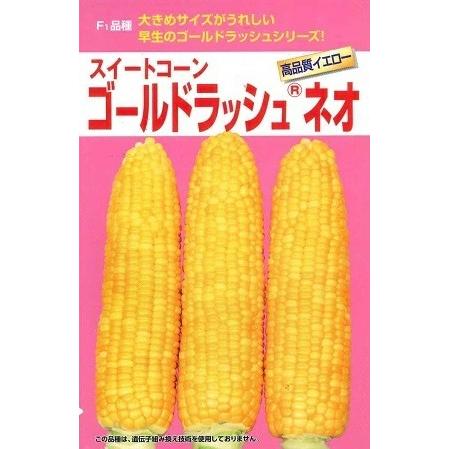 野菜種子 スイートコーン「ゴールドラッシュ ネオ」 500粒（サカタの